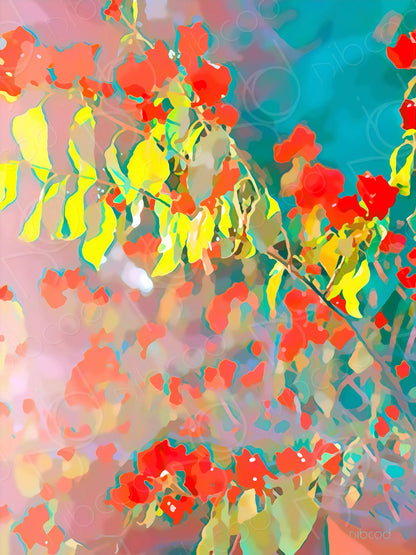 Gouttes de bougainvilliers